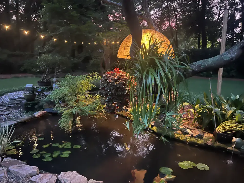 The garden koi pond at dusk under string lights and a glowing hanging lantern.