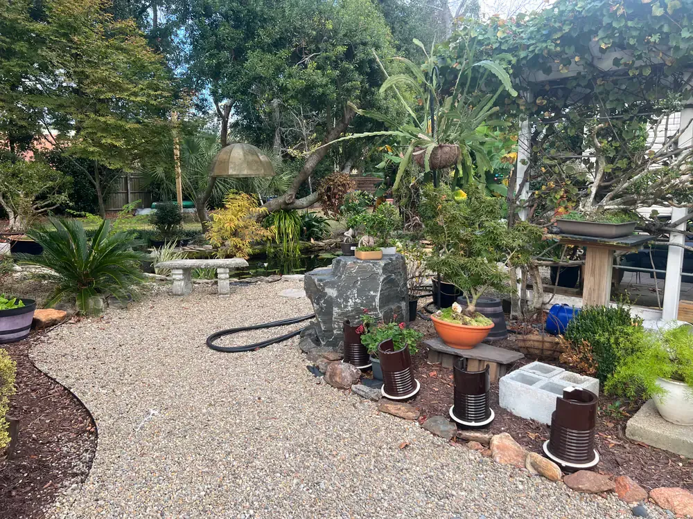 The nursery’s gravel garden with a slate stone, a stone bench, and potted trees.