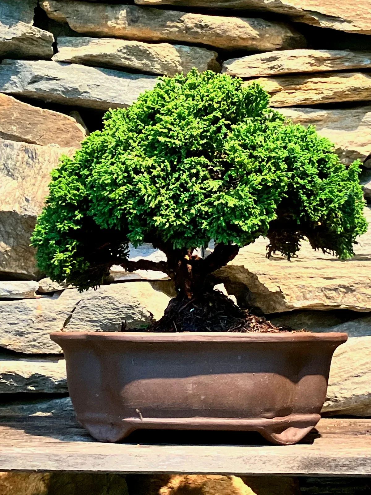 A specimen worked at the retreat bench.