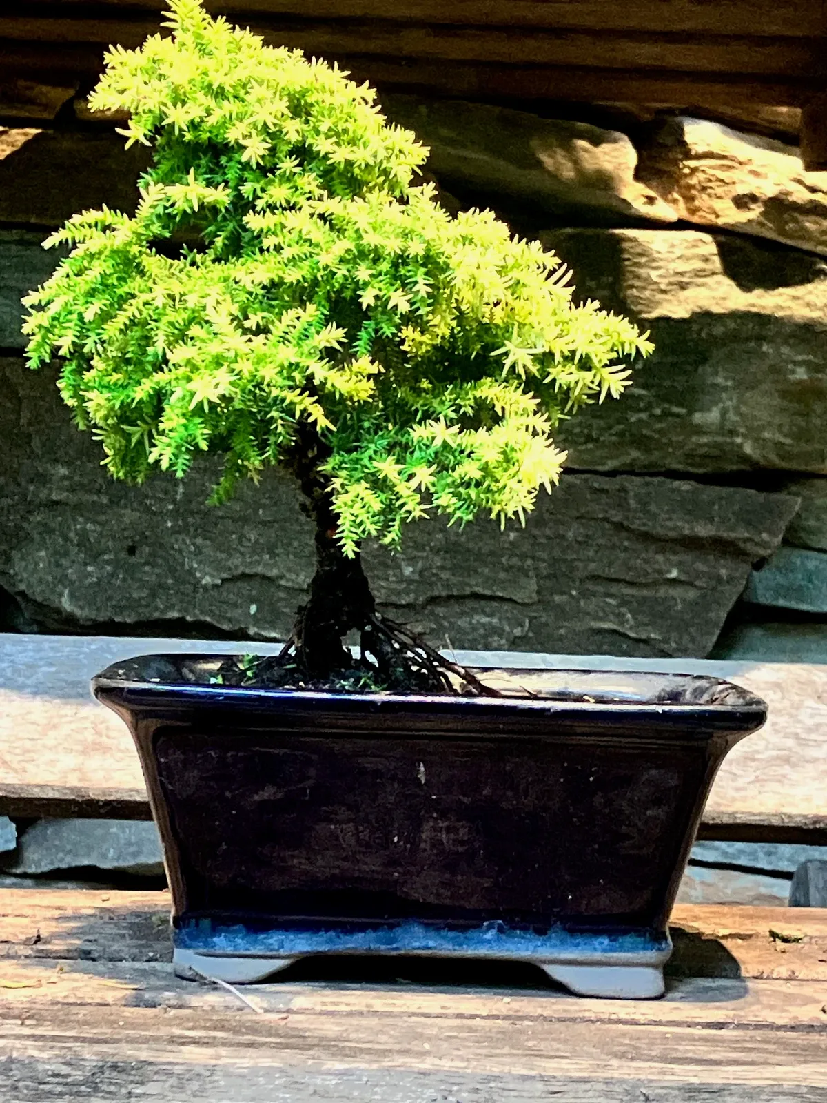 A specimen worked at the retreat bench.